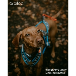 ORBILOC The Safety Light K9 Active Pack